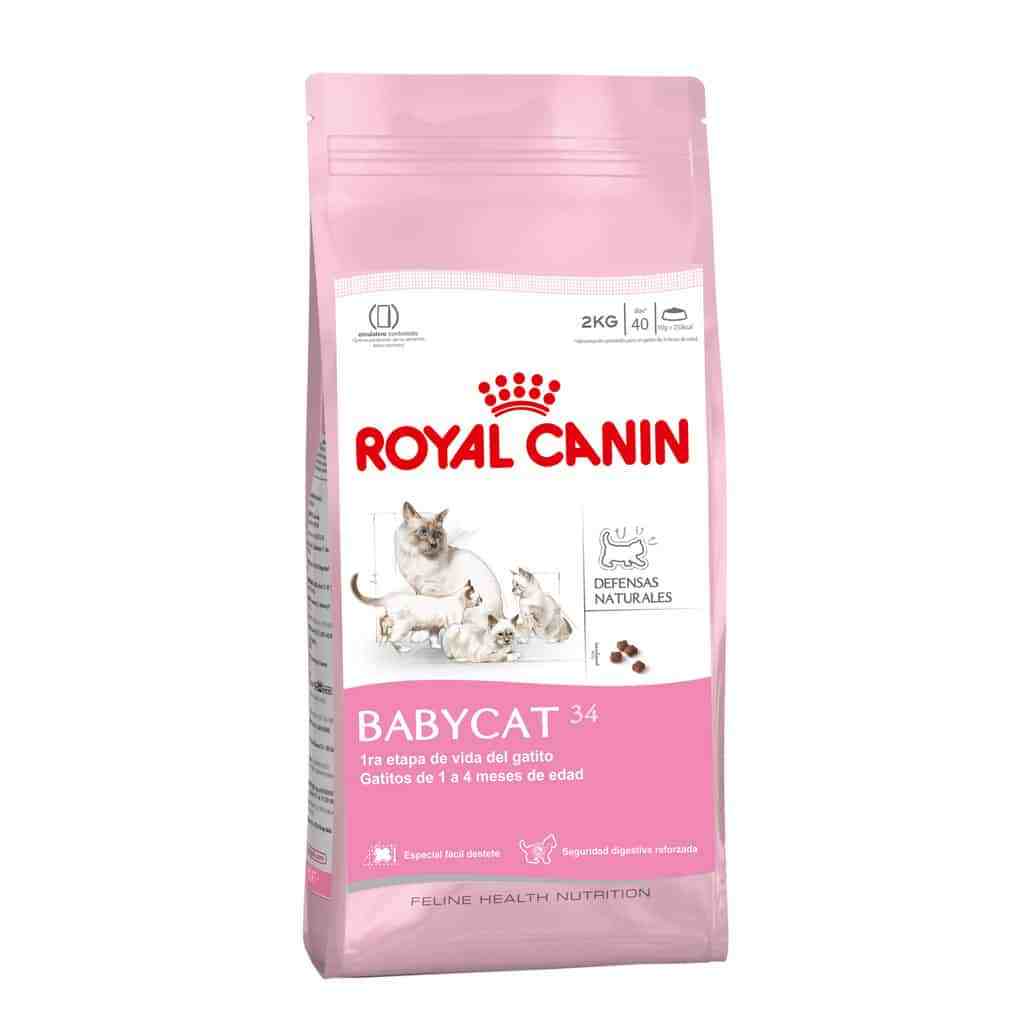 ROYAL CANIN MOTHER Y BABYCAT 2KG