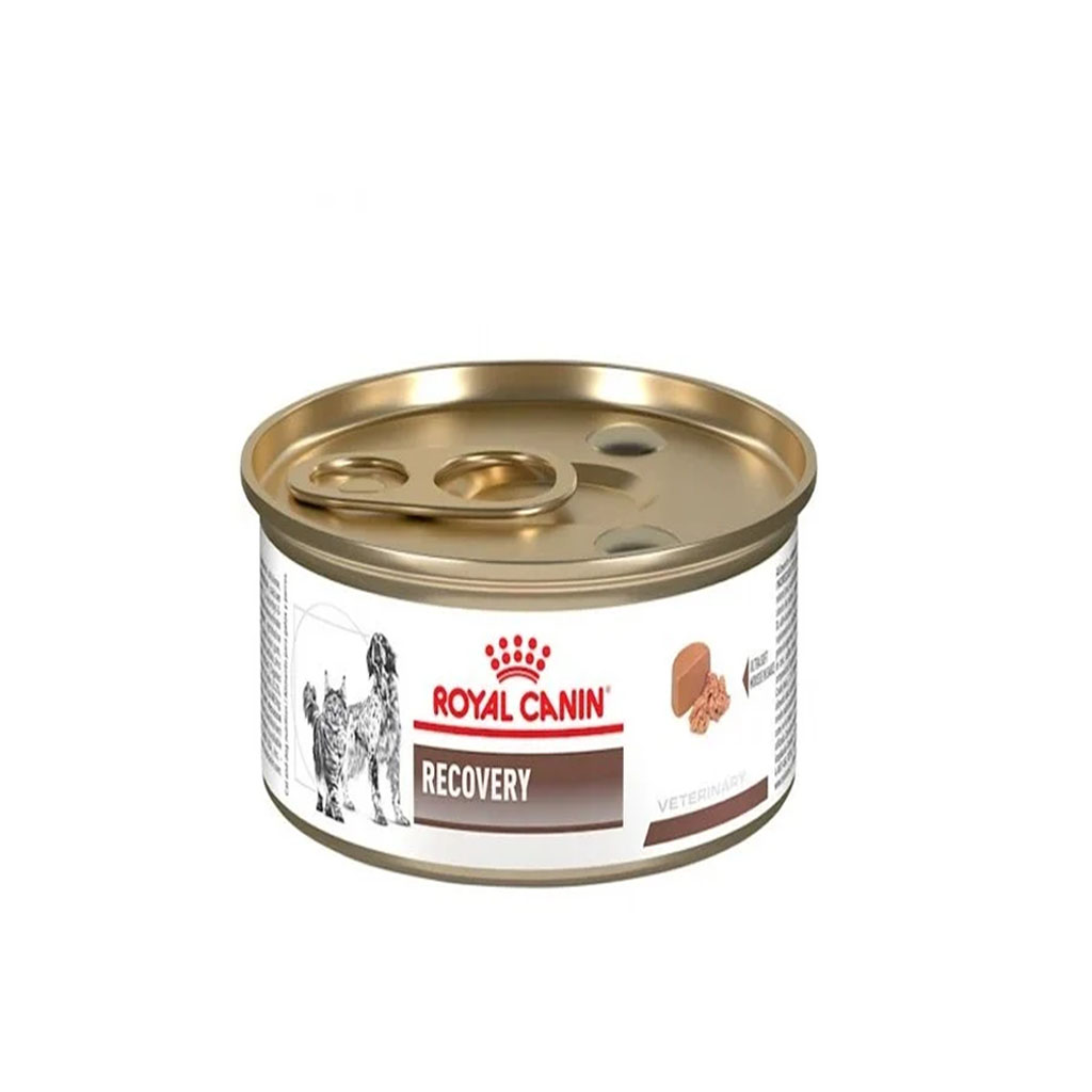 ROYAL CANIN RECOVERY DOG Y CAT LATA 145G