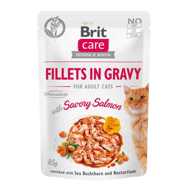 BRIT CARE FILETE EN SALSA SALMÓN ADULTO CAT POUCH 85G