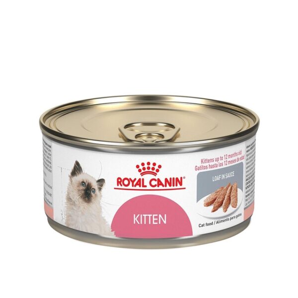 ROYAL CANIN KITTEN CAT LATA 145G